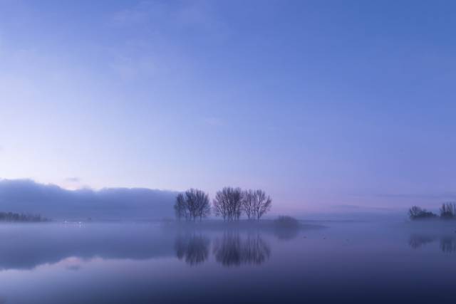 eiland-mist-23-dec-2017 - Afbeelding 3 van 7